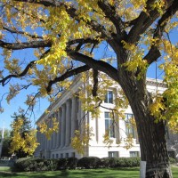 McNichols