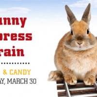 bunny